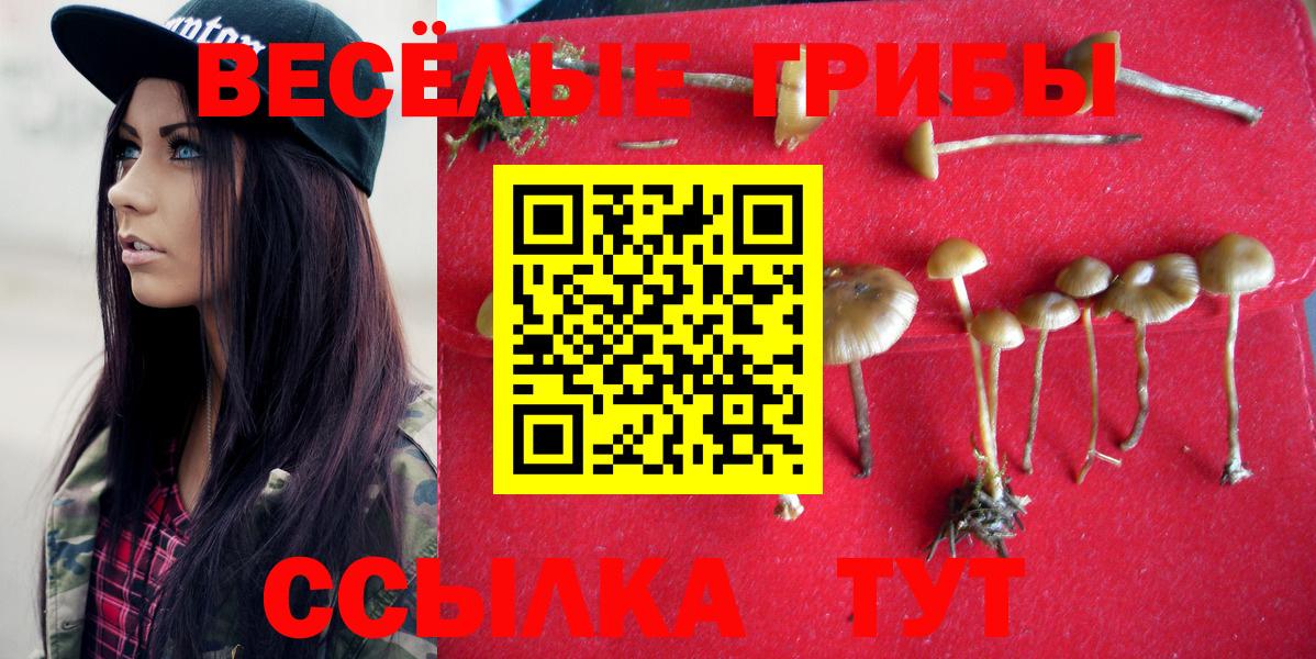 Галлюциногенные грибы GOLDEN TEACHER  купить наркоту  Вход с VPN  Скопин  Псилоцибиновые грибы мицелий 